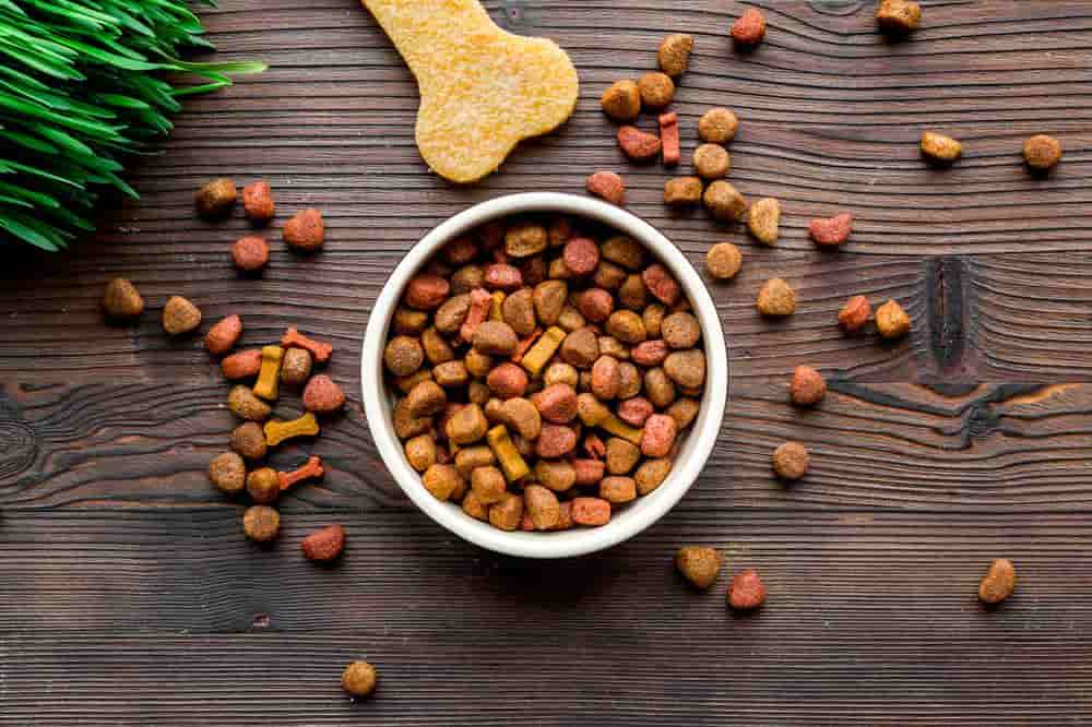 تصویر 1 از غذای سگ پریمیوم فاقد غلات برای داشتن پوست و موی درخشان